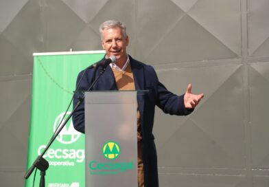 Molero anticipó que se licitará la obra de anillado eléctrico antes de fin de año