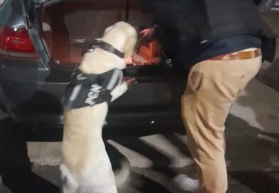 Detienen a una pareja con droga y más de $350.000 en efectivo en General Alvear