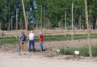 Tercera jornada de capacitación en riego agrícola en la Finca Modelo de Bodega Faraón