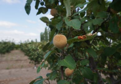 Recorrida por zonas afectadas tras las tormentas