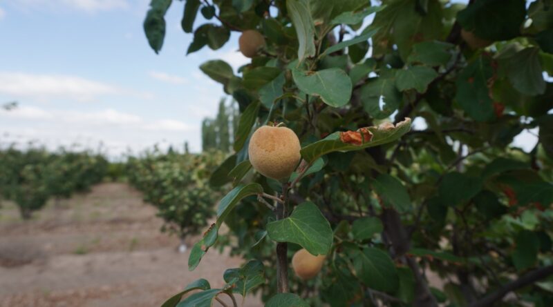 Recorrida por zonas afectadas tras las tormentas