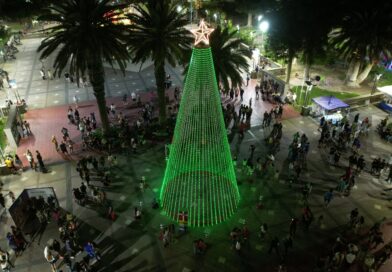Encendieron el pinito de Navidad en la plaza Carlos María de Alvear