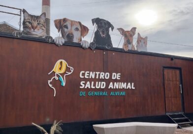 Balance anual del programa de castraciones y proyecciones para el bienestar animal