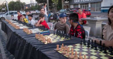 Tardecitas de Ajedrez en el Paseo de los Artesanos