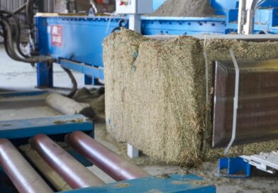 Gestiones para agregar valor a la producción de alfalfa