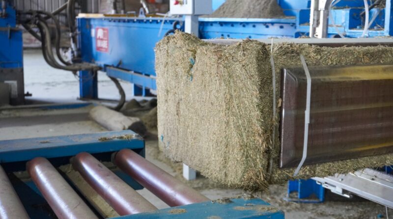 Gestiones para agregar valor a la producción de alfalfa