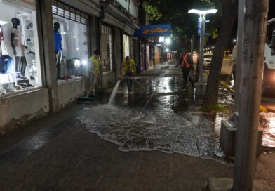 Operativo de limpieza y mantenimiento en Alvear Oeste