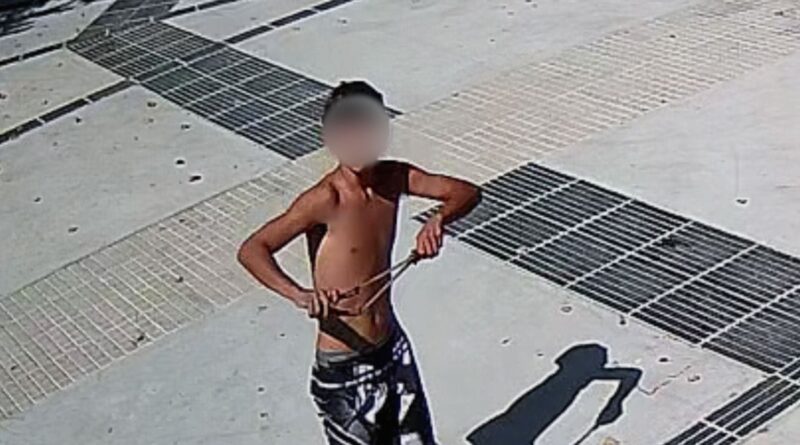 Actos de vandalismo contra cámaras de seguridad