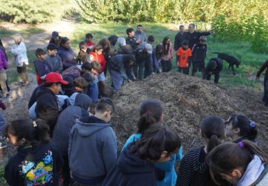 Estudiantes participan de actividades en el vivero