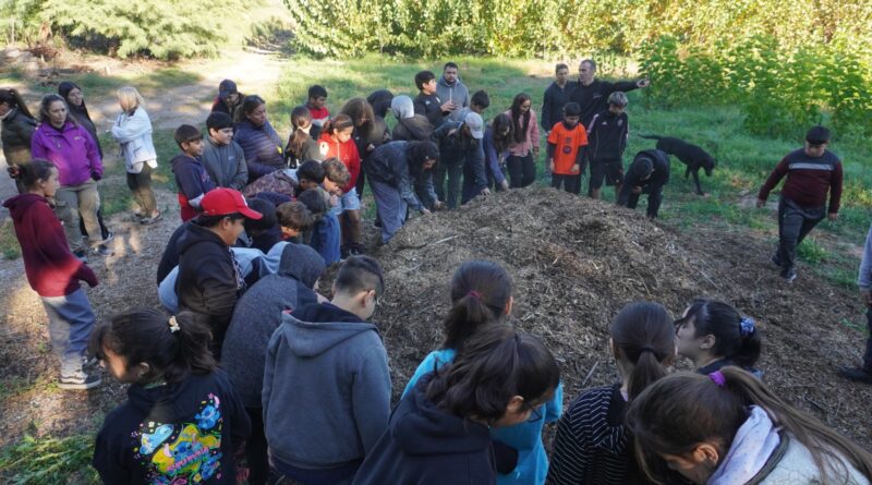 Estudiantes participan de actividades en el vivero