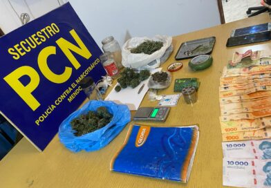 Allanaron una vivienda por narcomenudeo y secuestraron droga, plantas y un arma