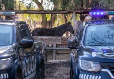 La Policía Rural avanzó en la investigación de un caso de abigeato