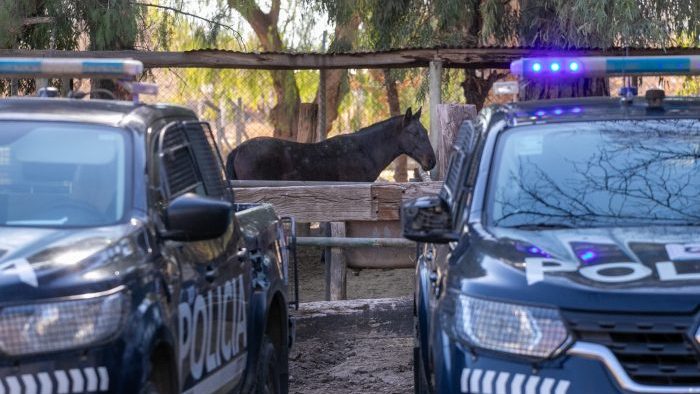 La Policía Rural avanzó en la investigación de un caso de abigeato