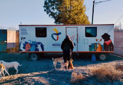 Operativo de castración para controlar la sobrepoblación animal en la zona de las piletas de tratamiento