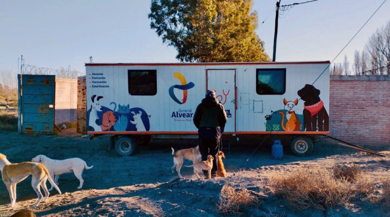 Operativo de castración para controlar la sobrepoblación animal en la zona de las piletas de tratamiento