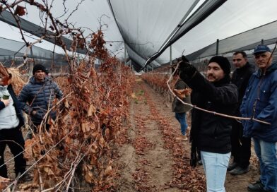 Productores participaron de una jornada técnica vitícola
