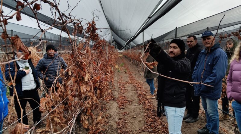 Productores participaron de una jornada técnica vitícola