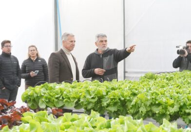 Molero recorrió un emprendimiento hidropónico que impulsa la diversificación productiva