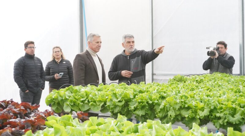 Molero recorrió un emprendimiento hidropónico que impulsa la diversificación productiva