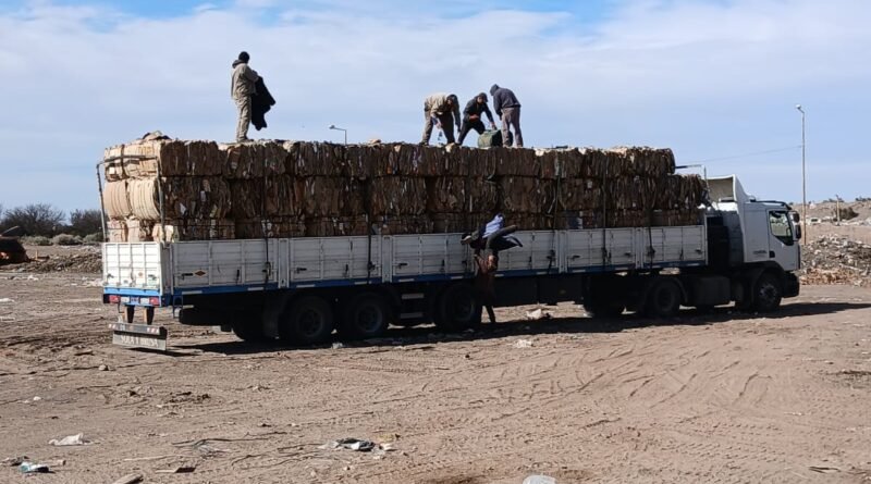 General Alvear recuperó 24 toneladas de cartón para su reutilización